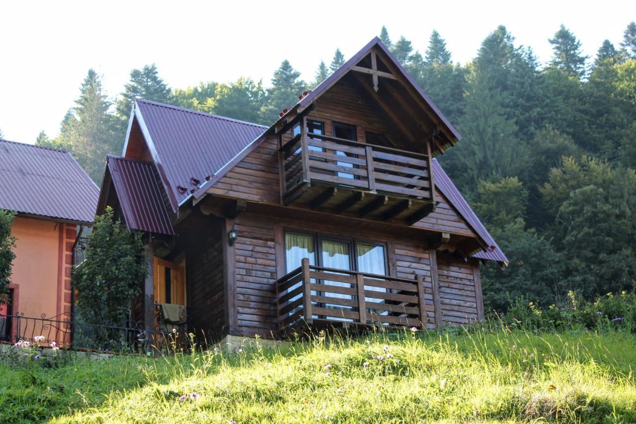 Cottage "Karpatske Shale" ヤレムチャ エクステリア 写真