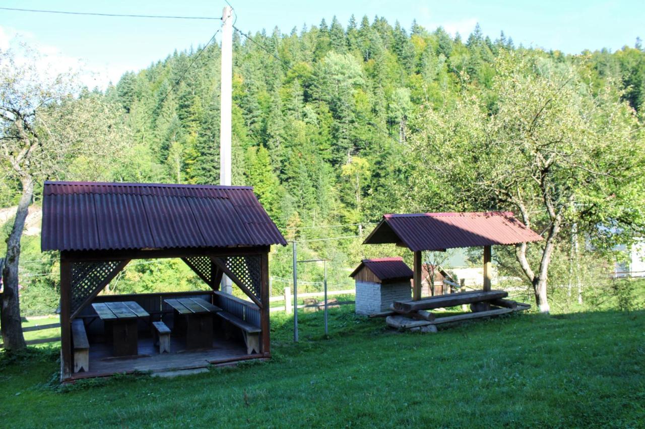 Cottage "Karpatske Shale" ヤレムチャ エクステリア 写真