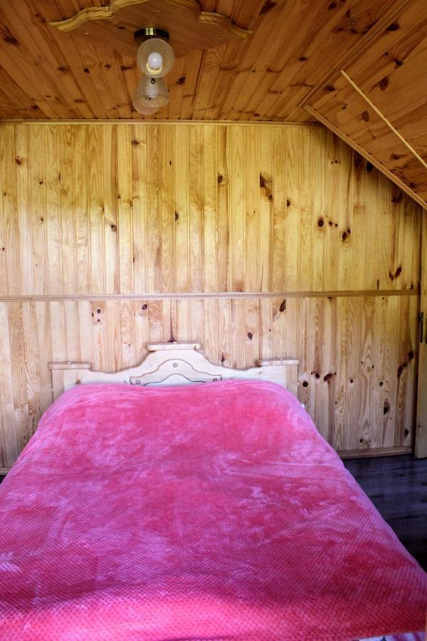 Cottage "Karpatske Shale" ヤレムチャ エクステリア 写真