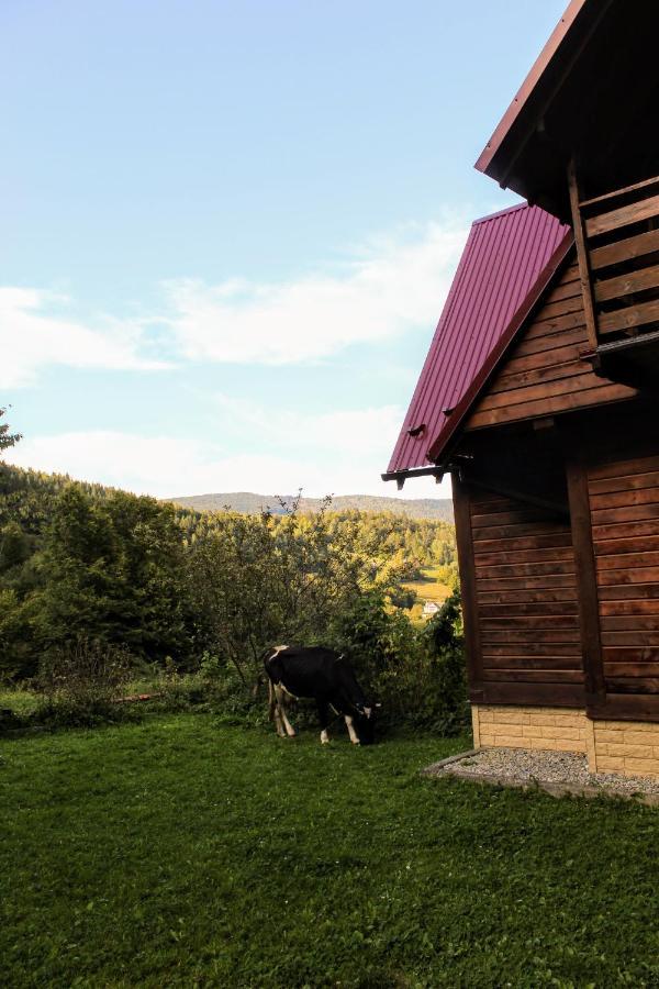 Cottage "Karpatske Shale" ヤレムチャ エクステリア 写真