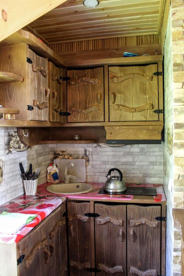 Cottage "Karpatske Shale" ヤレムチャ エクステリア 写真