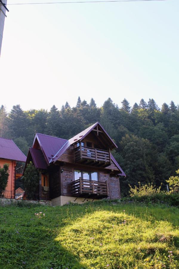 Cottage "Karpatske Shale" ヤレムチャ エクステリア 写真