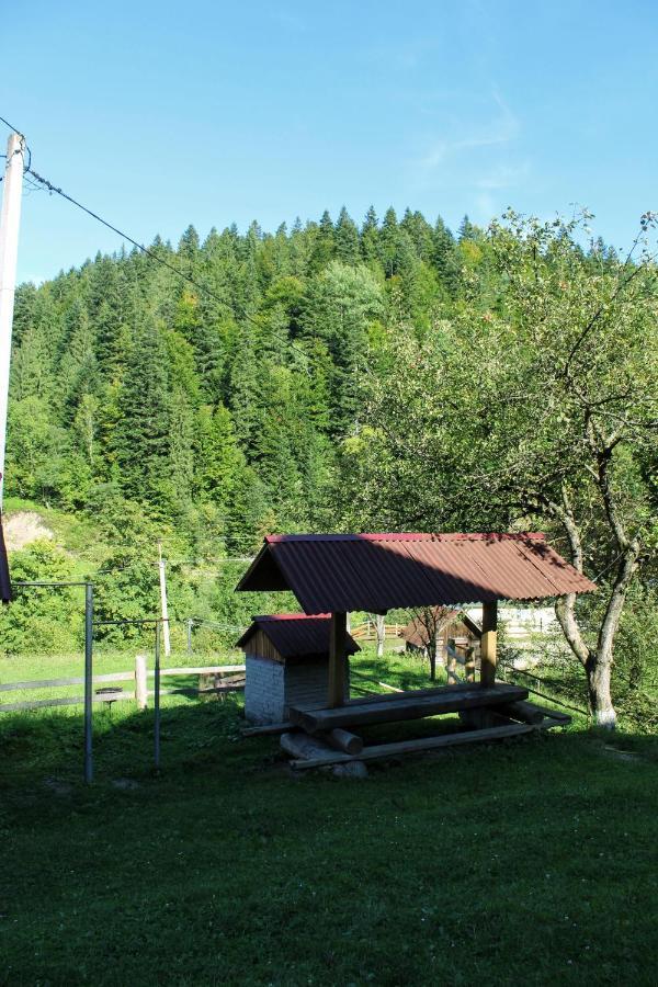 Cottage "Karpatske Shale" ヤレムチャ エクステリア 写真