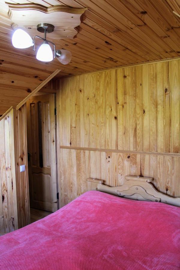 Cottage "Karpatske Shale" ヤレムチャ エクステリア 写真