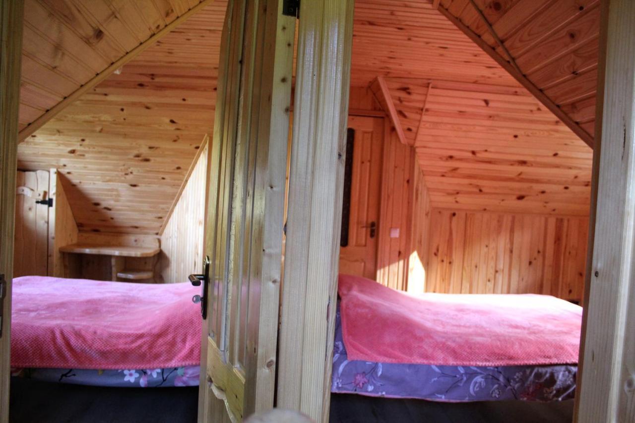 Cottage "Karpatske Shale" ヤレムチャ エクステリア 写真