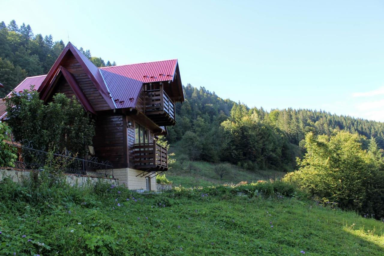 Cottage "Karpatske Shale" ヤレムチャ エクステリア 写真