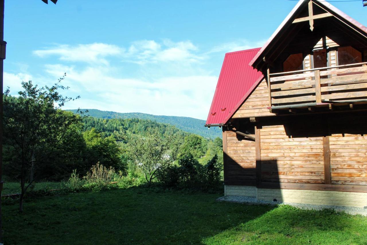 Cottage "Karpatske Shale" ヤレムチャ エクステリア 写真