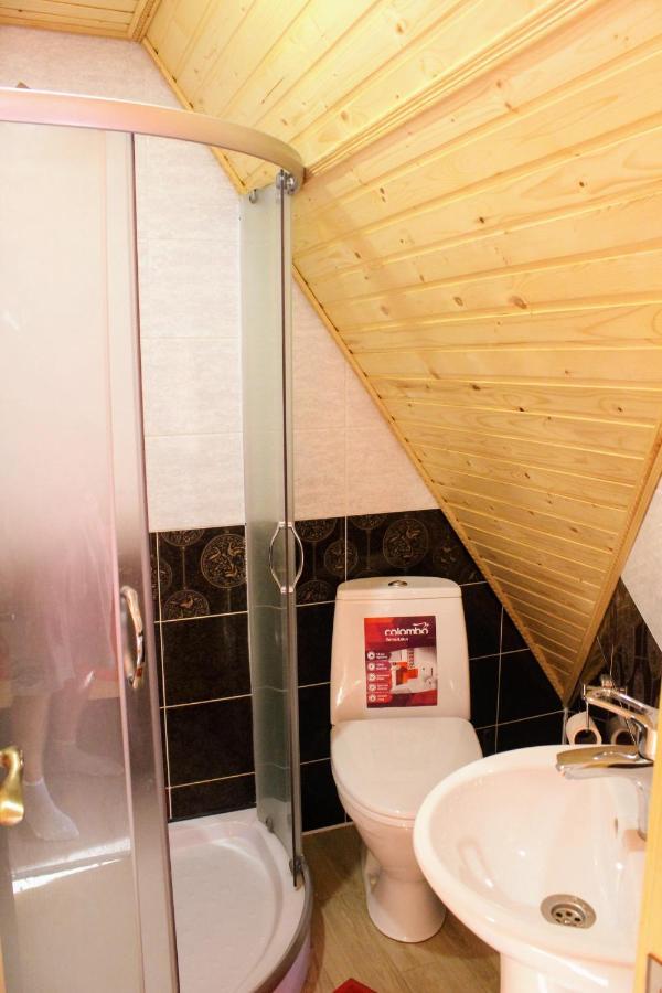 Cottage "Karpatske Shale" ヤレムチャ エクステリア 写真