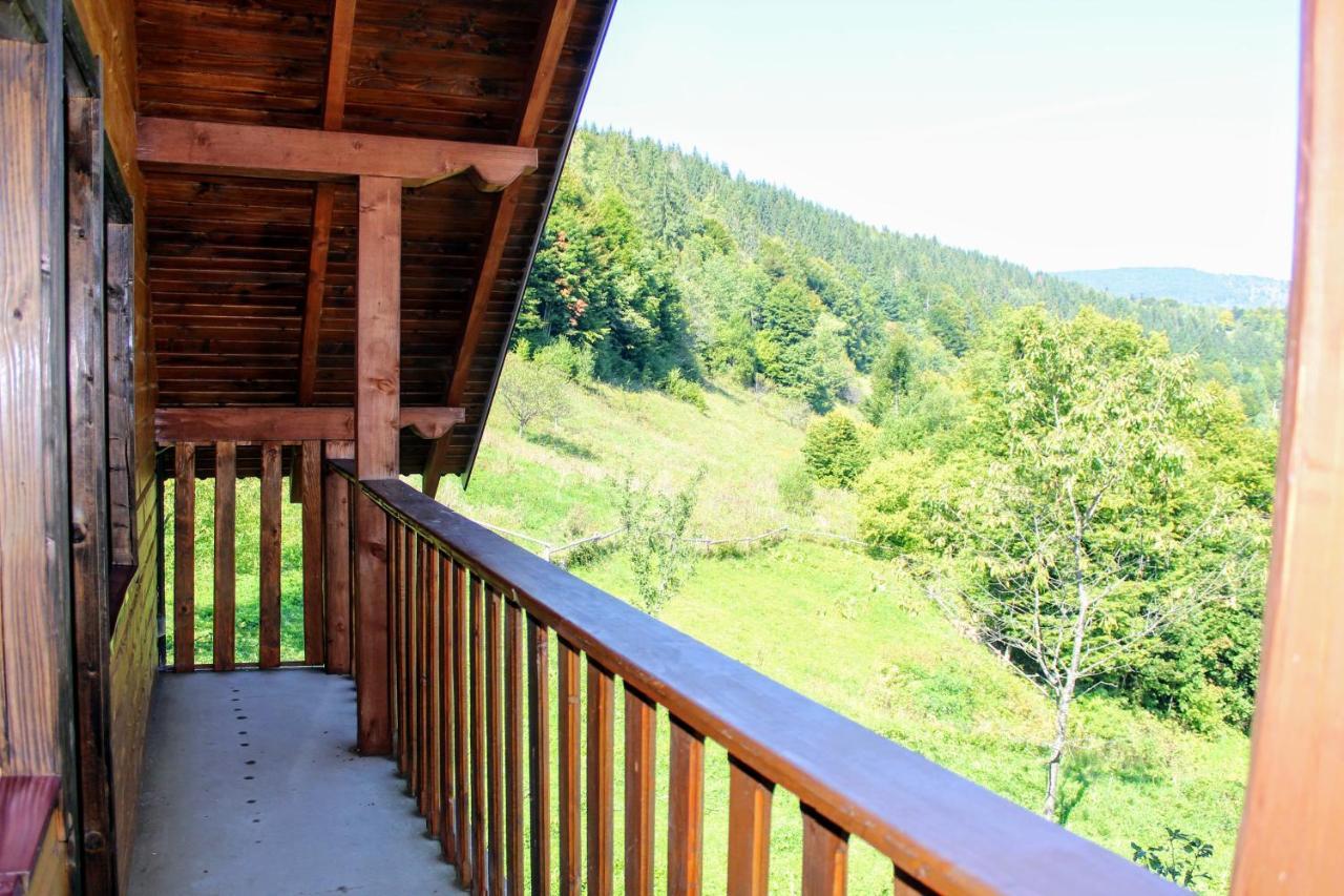Cottage "Karpatske Shale" ヤレムチャ エクステリア 写真