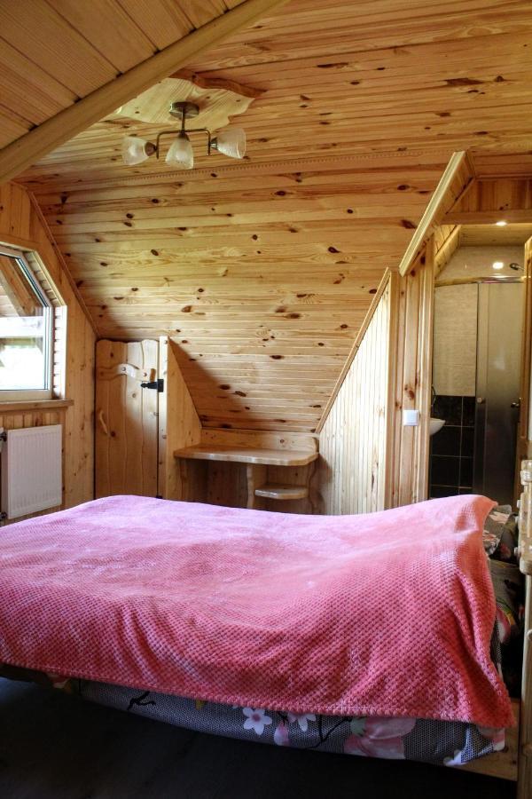 Cottage "Karpatske Shale" ヤレムチャ エクステリア 写真