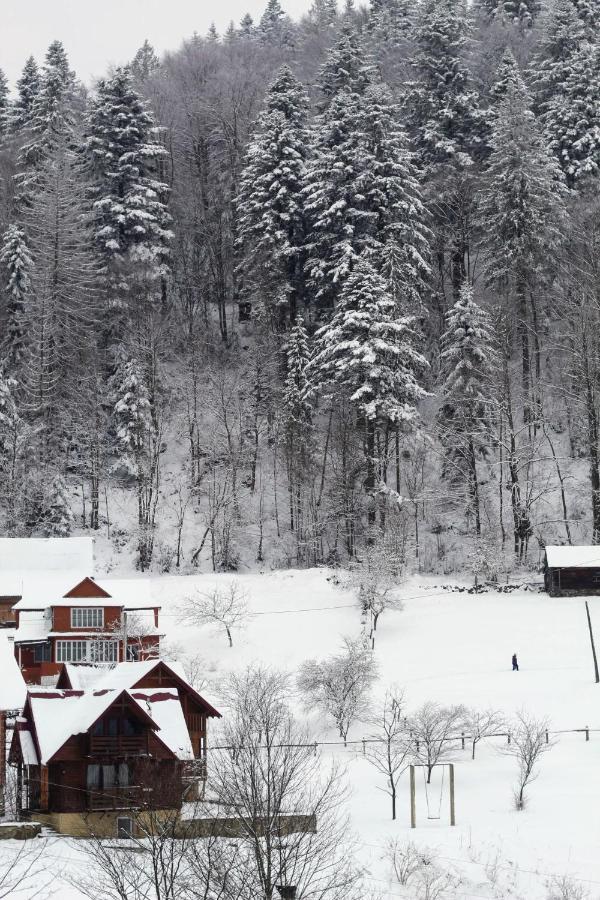 Cottage "Karpatske Shale" ヤレムチャ エクステリア 写真