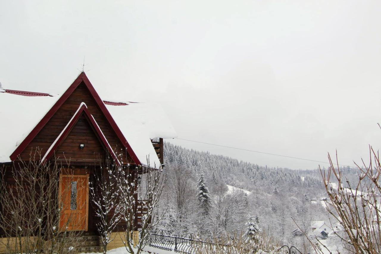 Cottage "Karpatske Shale" ヤレムチャ エクステリア 写真