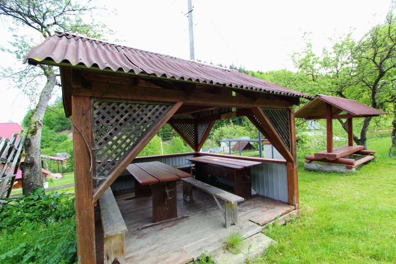 Cottage "Karpatske Shale" ヤレムチャ エクステリア 写真