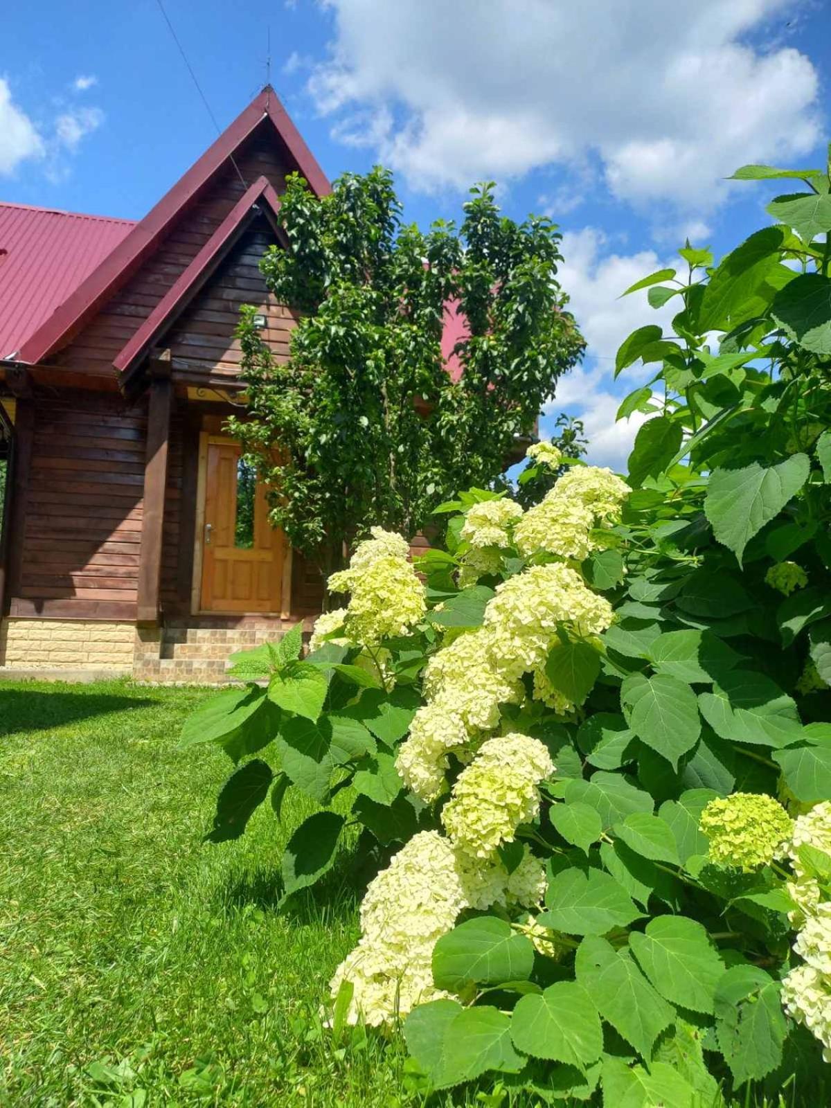 Cottage "Karpatske Shale" ヤレムチャ エクステリア 写真